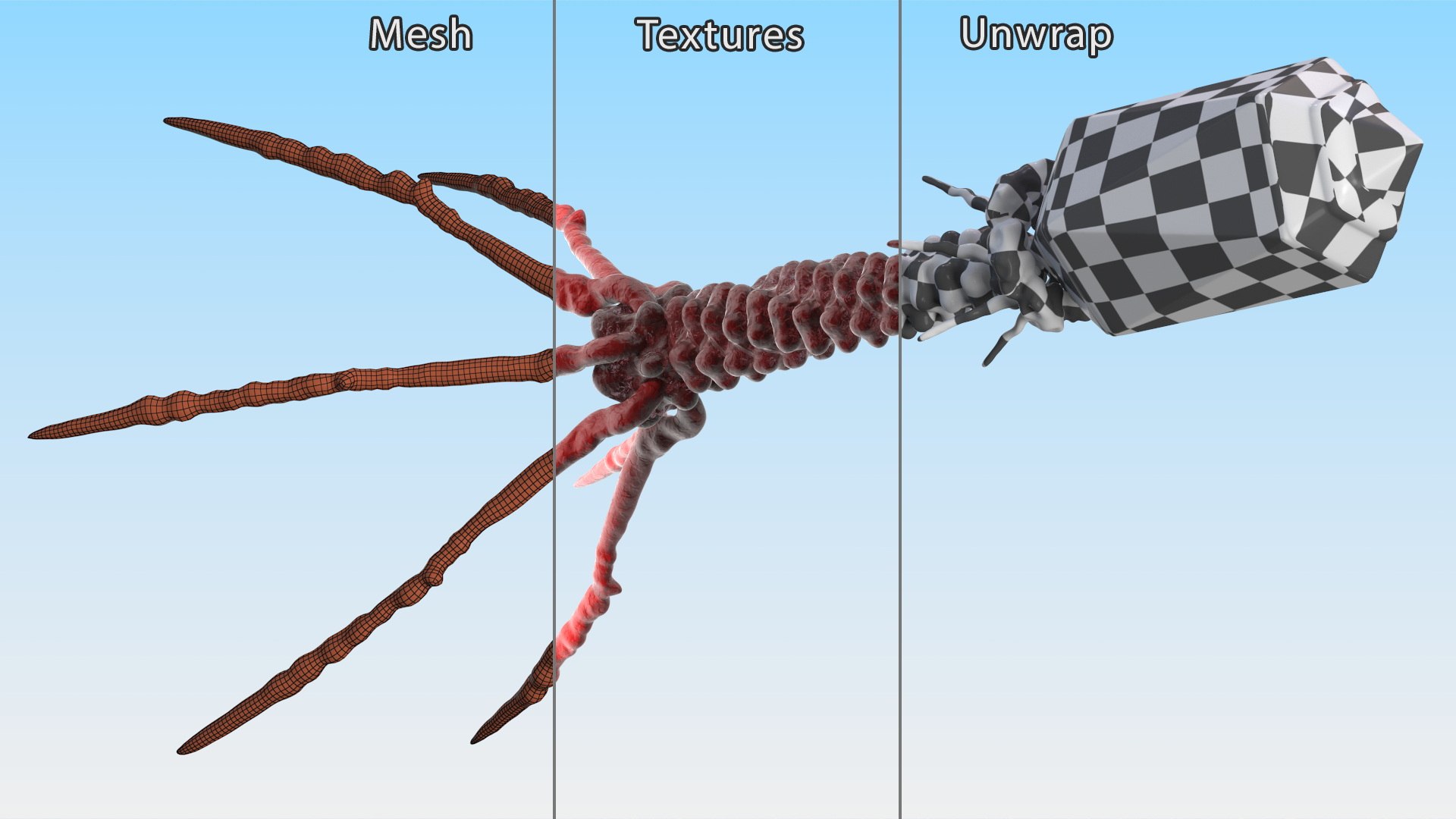3D Helicobacter Pylori Bacteria with Bacteriophage Virus Animated Rigged model https://p.turbosquid.com/ts-thumb/kT/qS3XL5/6V/helicobacter_pylori_bacteria_with_bacteriophage_virus_animated_rigged_015/jpg/1750903628/1920x1080/fit_q87/4ce5c52773546060b1b5e7918258186fb45fab09/helicobacter_pylori_bacteria_with_bacteriophage_virus_animated_rigged_015.jpg