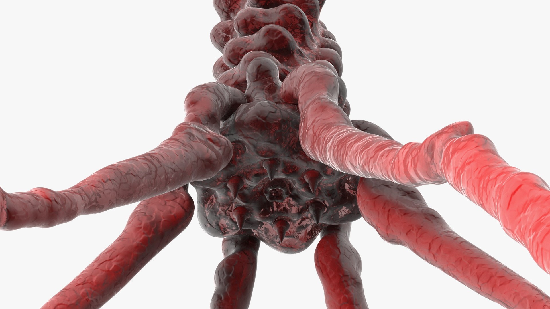 3D Helicobacter Pylori Bacteria with Bacteriophage Virus Animated Rigged model https://p.turbosquid.com/ts-thumb/kT/qS3XL5/EX/helicobacter_pylori_bacteria_with_bacteriophage_virus_animated_rigged_013/jpg/1750903622/1920x1080/fit_q87/485a9365e09a8d3163ad28e1a0ee153bc910cf1d/helicobacter_pylori_bacteria_with_bacteriophage_virus_animated_rigged_013.jpg