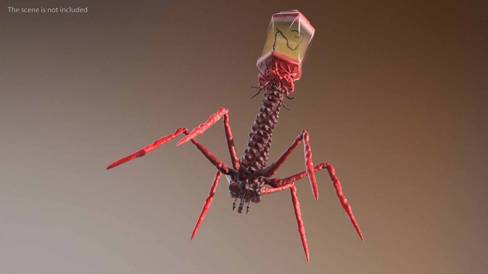 3D Helicobacter Pylori Bacteria with Bacteriophage Virus Animated Rigged model https://p.turbosquid.com/ts-thumb/kT/qS3XL5/Hr/helicobacter_pylori_bacteria_with_bacteriophage_virus_animated_rigged_005/jpg/1750903598/1920x1080/fit_q87/def6272cf1698193060d138ddd19373446bcb636/helicobacter_pylori_bacteria_with_bacteriophage_virus_animated_rigged_005.jpg