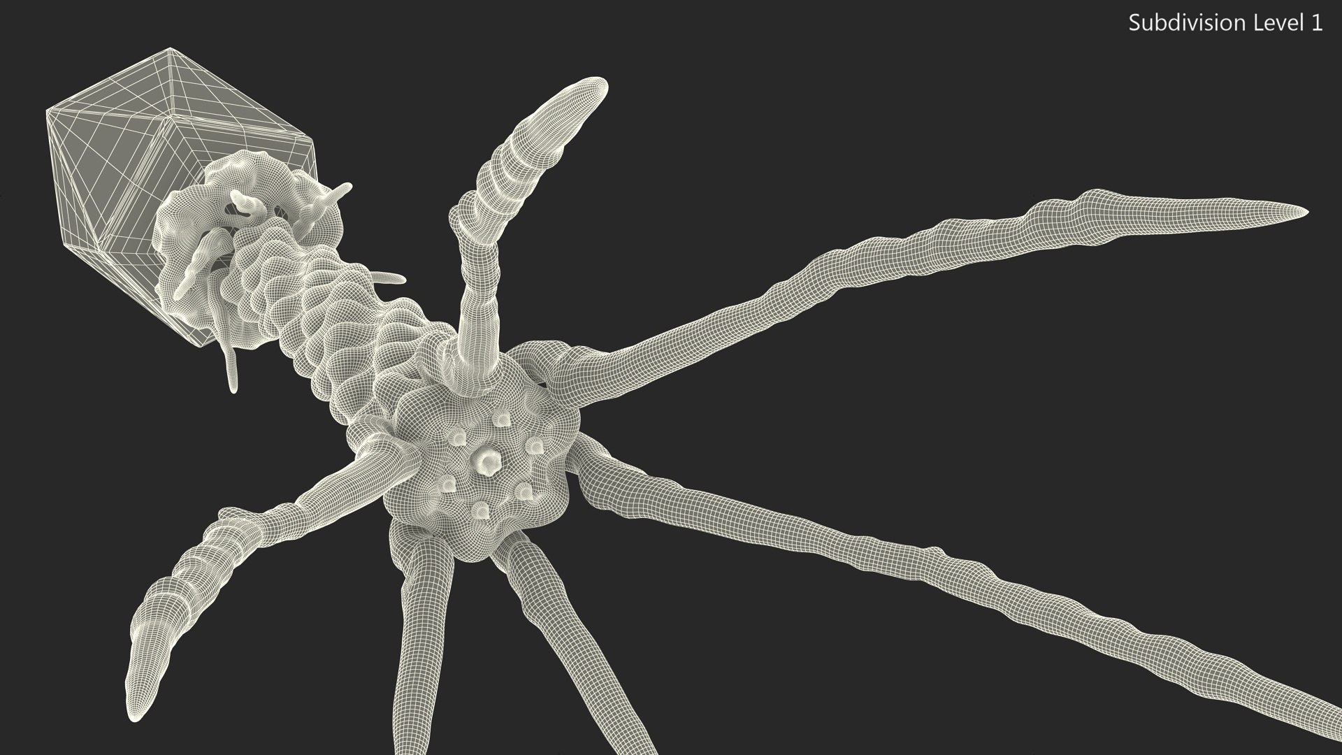 3D Helicobacter Pylori Bacteria with Bacteriophage Virus Animated Rigged model https://p.turbosquid.com/ts-thumb/kT/qS3XL5/K6/helicobacter_pylori_bacteria_with_bacteriophage_virus_animated_rigged_017/jpg/1750903633/1920x1080/fit_q87/a8c0e9e1dde7aa9d1c64f6bf7cd622d1dc463738/helicobacter_pylori_bacteria_with_bacteriophage_virus_animated_rigged_017.jpg