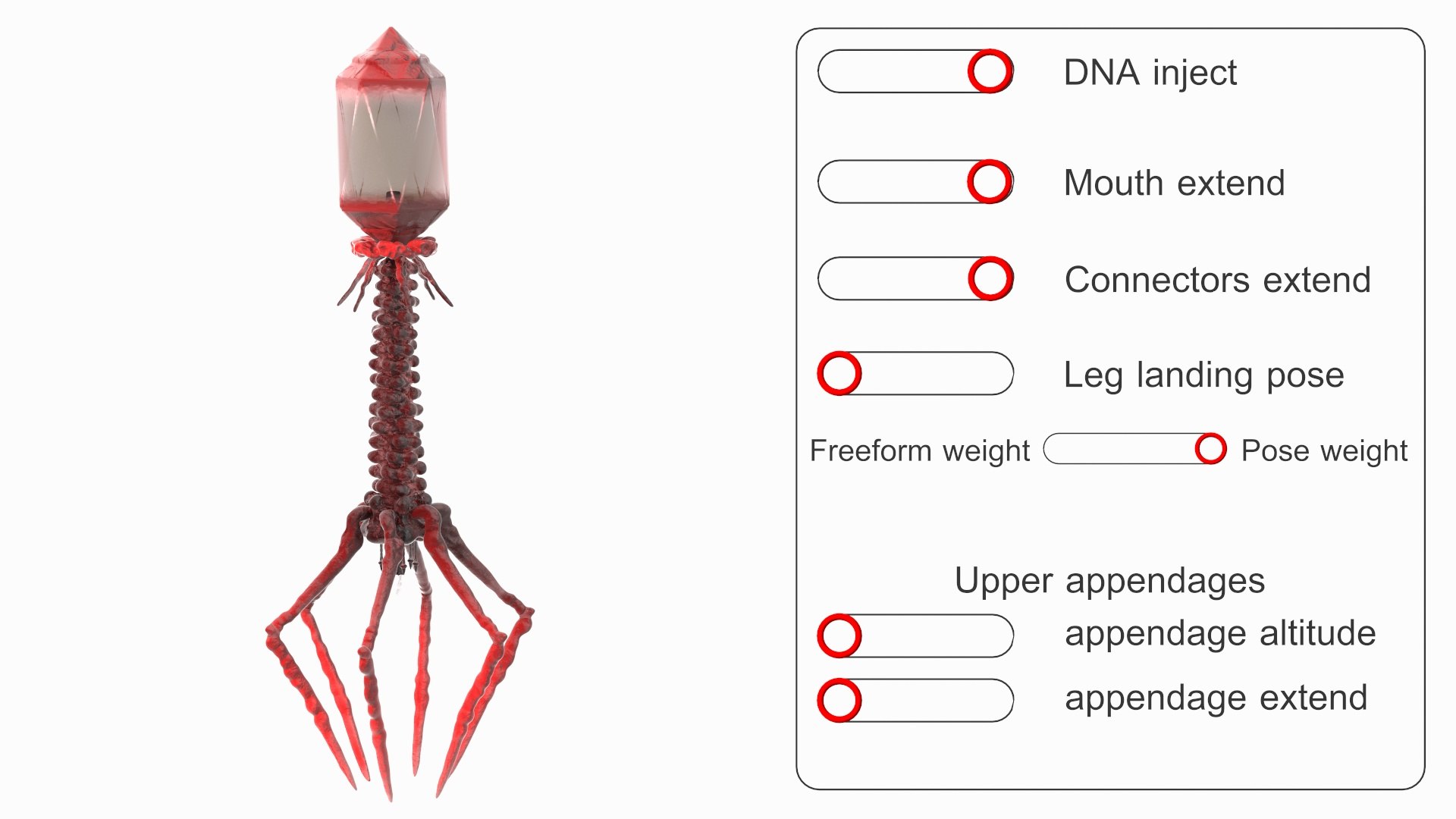 3D Helicobacter Pylori Bacteria with Bacteriophage Virus Animated Rigged model https://p.turbosquid.com/ts-thumb/kT/qS3XL5/l6/helicobacter_pylori_bacteria_with_bacteriophage_virus_animated_rigged_003/jpg/1750903592/1920x1080/fit_q87/191a5ba6cda7ab3766ba8fe7582d05c06a7a3ce0/helicobacter_pylori_bacteria_with_bacteriophage_virus_animated_rigged_003.jpg