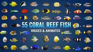 Coral Reef Fish Collection Animated - Game Ready pack 3