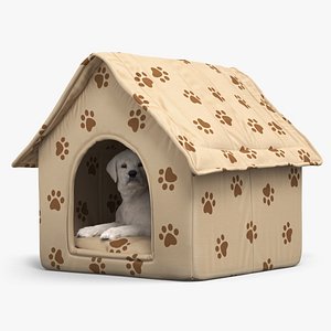 White Labrador Puppy Dog in Cozy Pet House Fur