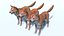Perro - Shiba Inu