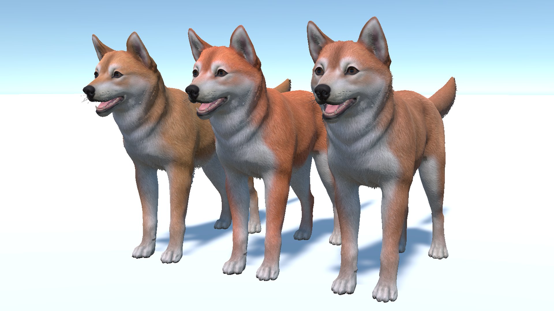 3D Dog - Shiba Inu https://p.turbosquid.com/ts-thumb/kU/FXZ75n/6S/7/png/1702301162/1920x1080/fit_q87/59c8a925c6155e4df26862f9fd1f320d36aa9b58/7.jpg