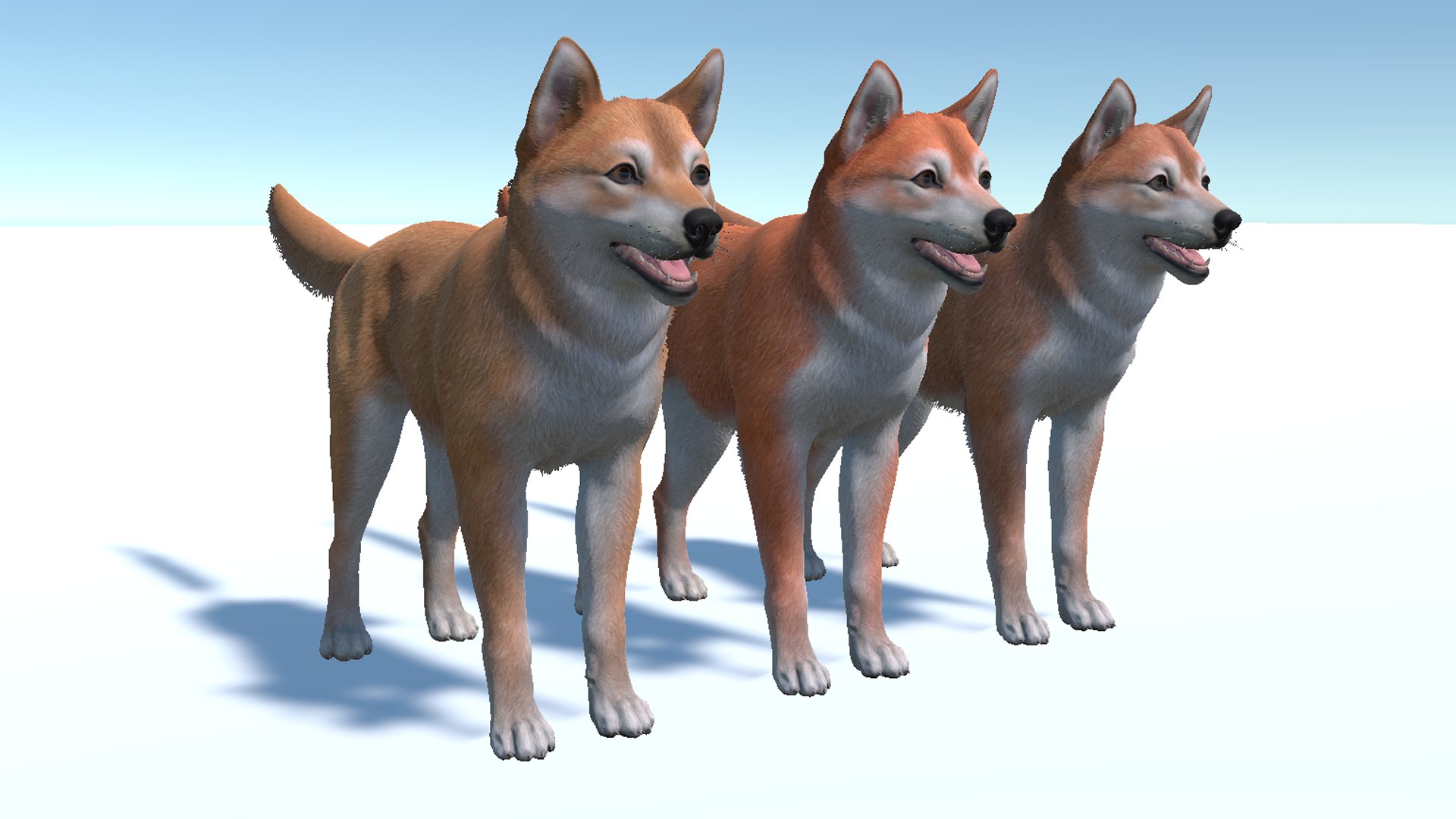 3D Dog - Shiba Inu https://p.turbosquid.com/ts-thumb/kU/FXZ75n/8A/9/png/1702301166/1920x1080/fit_q87/d719e456a26a70979f355ae4a8abca0bdd763b5b/9.jpg