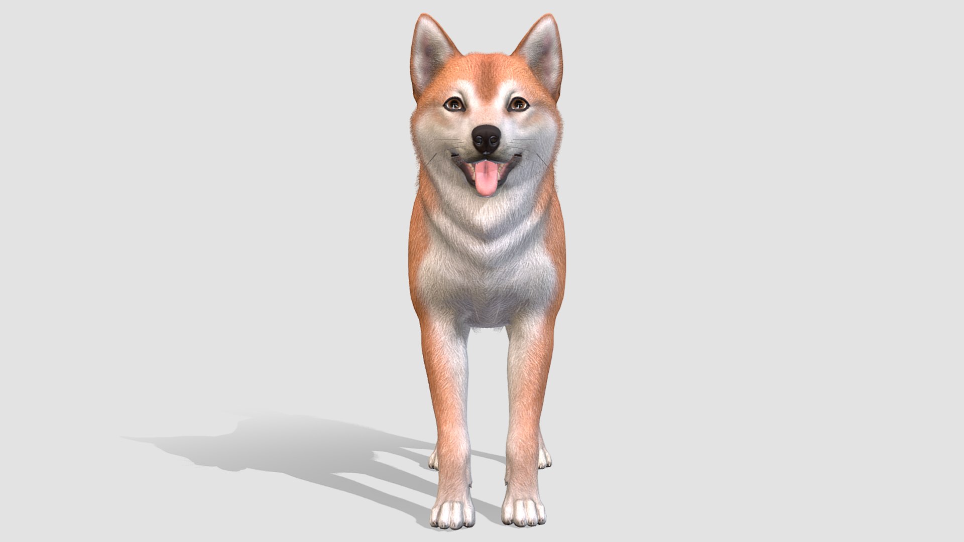 3D Dog - Shiba Inu https://p.turbosquid.com/ts-thumb/kU/FXZ75n/b6/2/png/1702301154/1920x1080/fit_q87/465a336e1390bb6a340aa089bc93921f4fbedd35/2.jpg