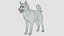 Perro - Shiba Inu