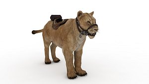 Lioness 3D model