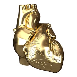 Human Heart Golden