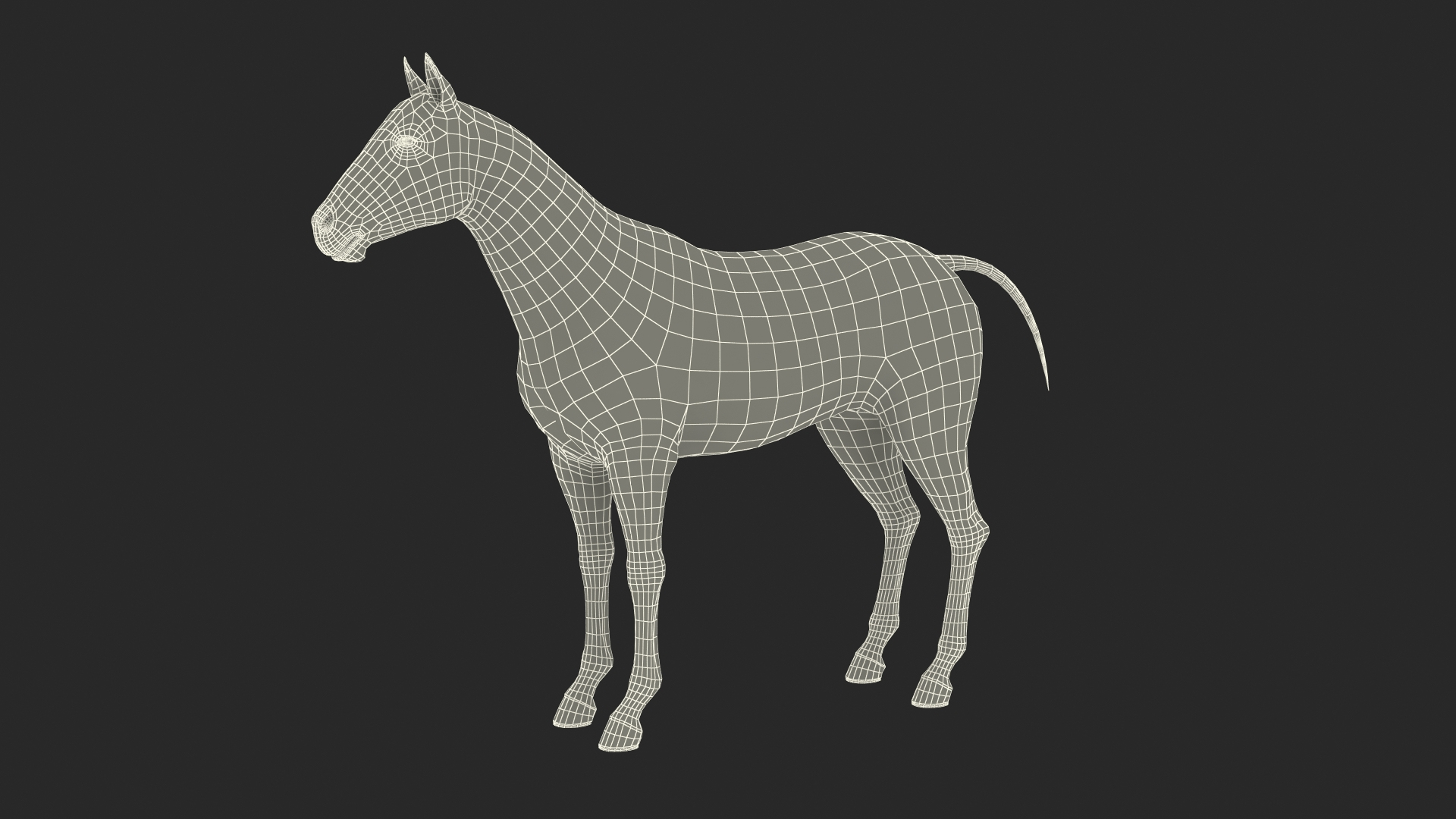 3D model white horse rigged https://p.turbosquid.com/ts-thumb/kU/ILKsno/4tLTUh4g/white_horse_rigged_361/jpg/1572538562/1920x1080/turn_fit_q99/2755e01b4f9916aaca46b87ae680e875466f4cd3/white_horse_rigged_361-1.jpg