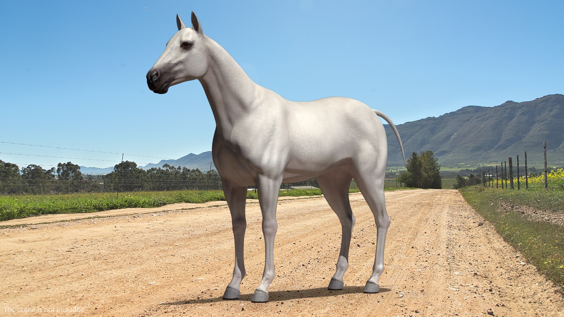 3D model white horse rigged https://p.turbosquid.com/ts-thumb/kU/ILKsno/TrfxRW0m/whitehorserigged3dmodel002/jpg/1572538908/1920x1080/fit_q87/526f3f12233c4a584eb3c55ffcea6f3179175a26/whitehorserigged3dmodel002.jpg