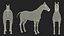 White Horse Rigged for Cinema 4D