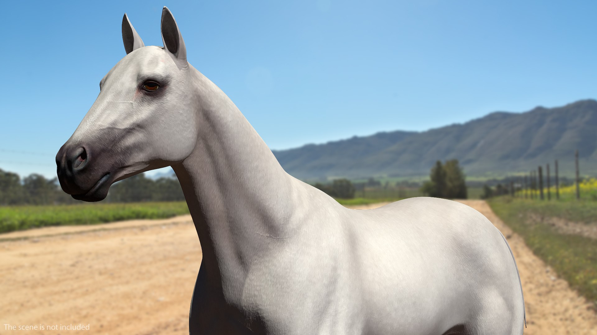 3D model white horse rigged https://p.turbosquid.com/ts-thumb/kU/ILKsno/aMp6b8Yk/whitehorserigged3dmodel003/jpg/1572538913/1920x1080/fit_q87/56568ab98540adffc688503b8c8c7e9e4cbf7059/whitehorserigged3dmodel003.jpg