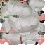 White Horse Rigged for Cinema 4D