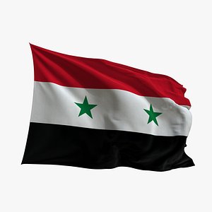 3D model Realistic Animated Flag - Microtexture Rigged - Put your own texture - Def Syria