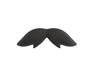 Mustache 05