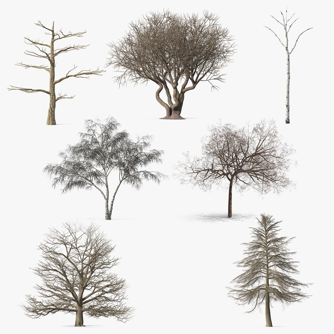 Winter Trees Collection 8 3D model preview