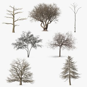 Winter Trees Collection 8