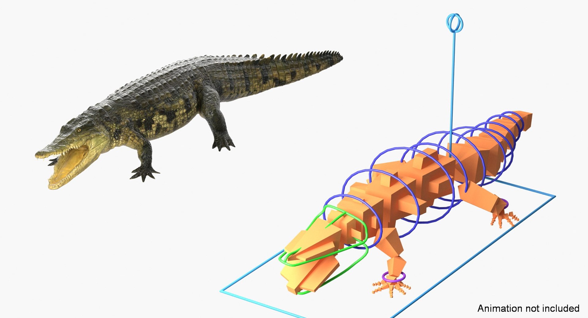 african animals 3 rigged 3D model https://p.turbosquid.com/ts-thumb/kU/XZXzds/7kzAMoSt/riggedafricananimalscollection3mb3dmodel036/jpg/1561109727/1920x1080/fit_q87/54fb71f7b9c46b003ec12d678293706f1f6ef97b/riggedafricananimalscollection3mb3dmodel036.jpg