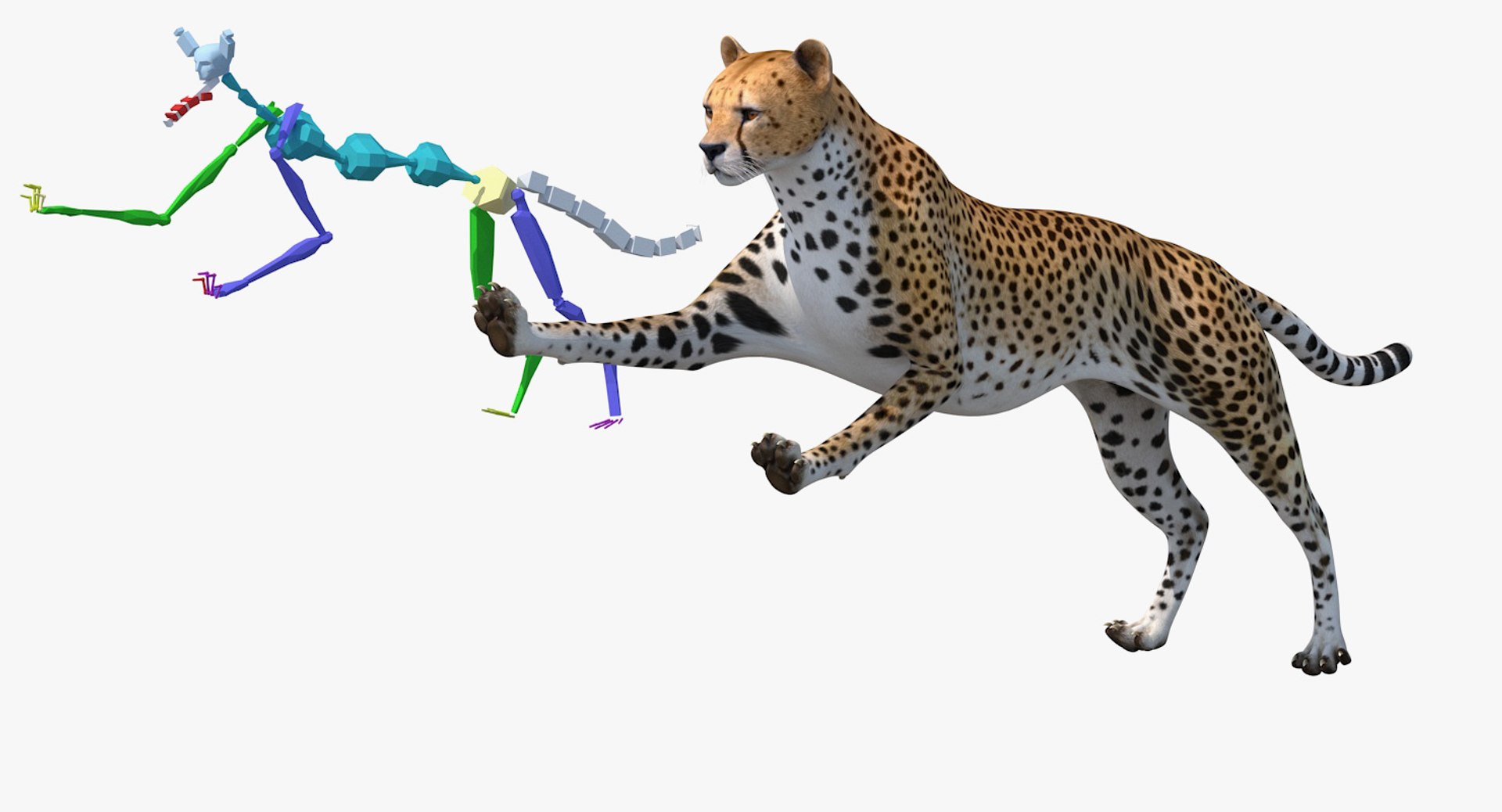 african animals 3 rigged 3D model https://p.turbosquid.com/ts-thumb/kU/XZXzds/H3PLVgNE/riggedafricananimalscollection3mb3dmodel005/jpg/1561109727/1920x1080/fit_q87/3c3e969f6d2e2077e091a0b29d23327774507780/riggedafricananimalscollection3mb3dmodel005.jpg