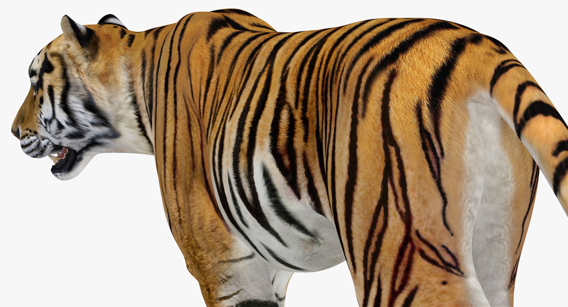 african animals 3 rigged 3D model https://p.turbosquid.com/ts-thumb/kU/XZXzds/IsTA1IEs/riggedafricananimalscollection3mb3dmodel031/jpg/1561109727/1920x1080/fit_q87/34cce1af98813c1327be5be067fcb2a65510acc1/riggedafricananimalscollection3mb3dmodel031.jpg
