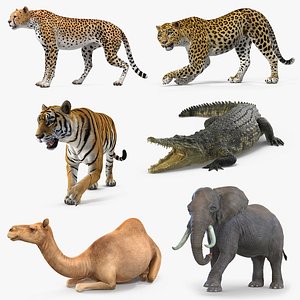 african animals 3 rigged 3D model