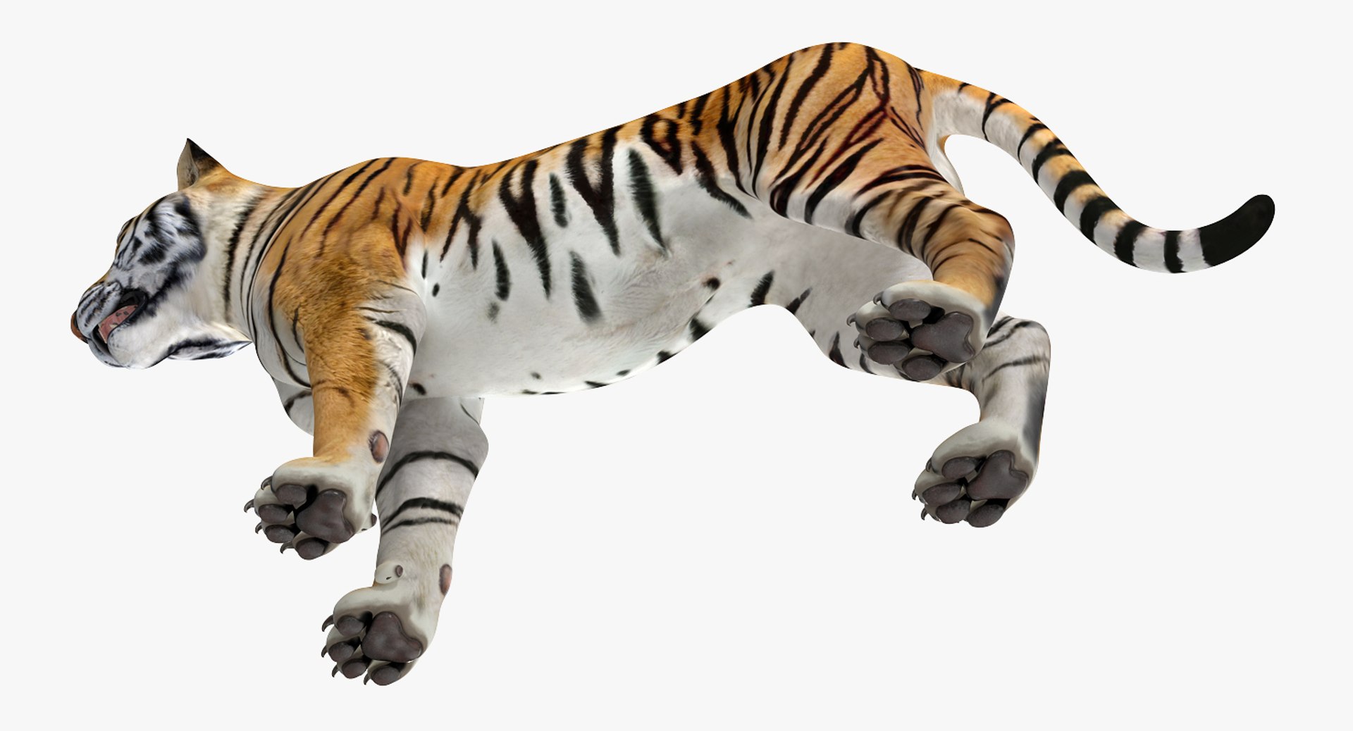 african animals 3 rigged 3D model https://p.turbosquid.com/ts-thumb/kU/XZXzds/Te1rG0lT/riggedafricananimalscollection3mb3dmodel032/jpg/1561109727/1920x1080/fit_q87/a82f1ab309922dca7fc1a1ff655818641ed80e1a/riggedafricananimalscollection3mb3dmodel032.jpg