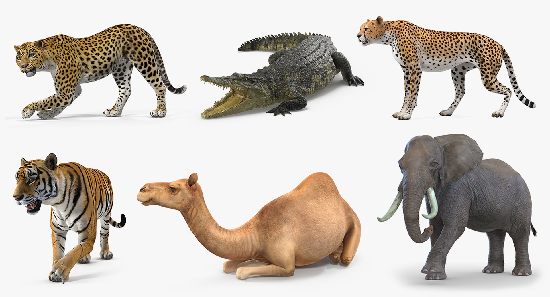 african animals 3 rigged 3D model https://p.turbosquid.com/ts-thumb/kU/XZXzds/VrFFqFmt/riggedafricananimalscollection3mb3dmodel002/jpg/1561109727/1920x1080/fit_q87/598c09b98aaa3c16a0f9049639cf831eb7d86aae/riggedafricananimalscollection3mb3dmodel002.jpg