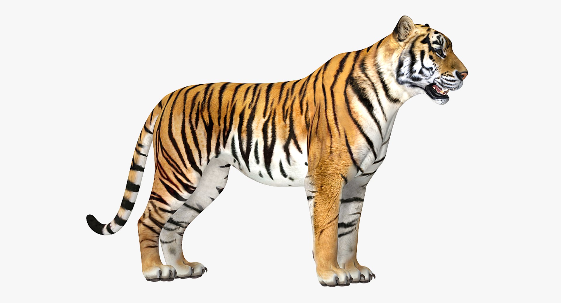 african animals 3 rigged 3D model https://p.turbosquid.com/ts-thumb/kU/XZXzds/Xm0gU9GM/riggedafricananimalscollection3mb3dmodel025/jpg/1561109727/1920x1080/fit_q87/c9da3b943b2166c622f00aa90f62bdbbdcc6cfc1/riggedafricananimalscollection3mb3dmodel025.jpg