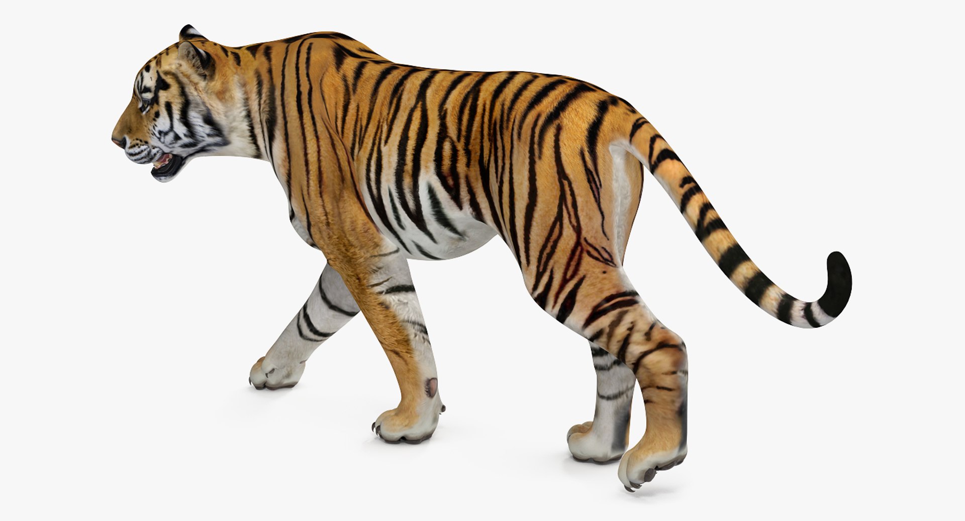 african animals 3 rigged 3D model https://p.turbosquid.com/ts-thumb/kU/XZXzds/aU0Tw8lB/riggedafricananimalscollection3mb3dmodel027/jpg/1561109727/1920x1080/fit_q87/0438063ba33ddc36fadec92663b38a9cf4982dc5/riggedafricananimalscollection3mb3dmodel027.jpg