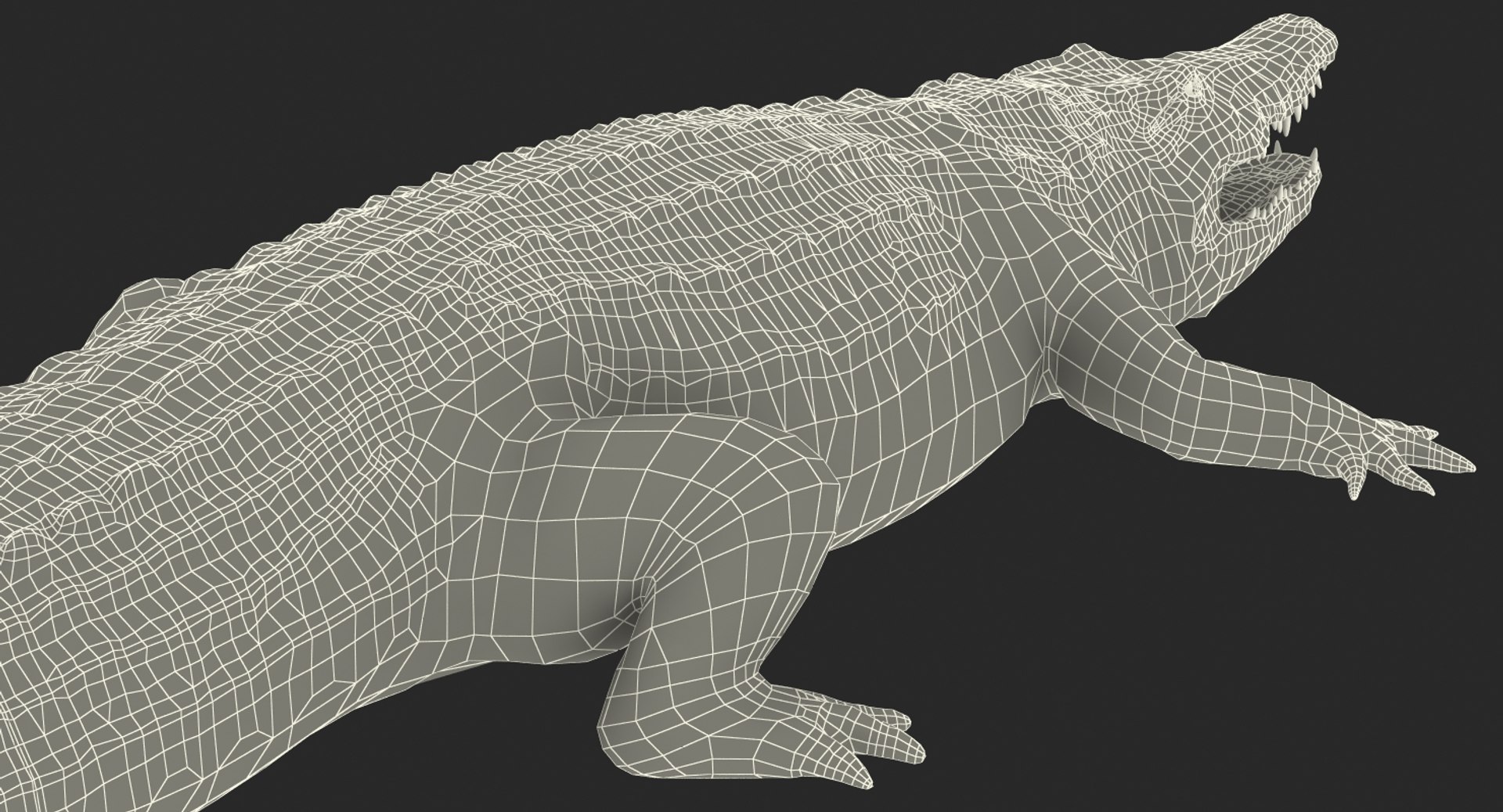 african animals 3 rigged 3D model https://p.turbosquid.com/ts-thumb/kU/XZXzds/evS2kF6L/riggedafricananimalscollection3mb3dmodel057/jpg/1561109728/1920x1080/fit_q87/ff54bfb3c3395d01b137b4f05c94d4dd4791ac09/riggedafricananimalscollection3mb3dmodel057.jpg