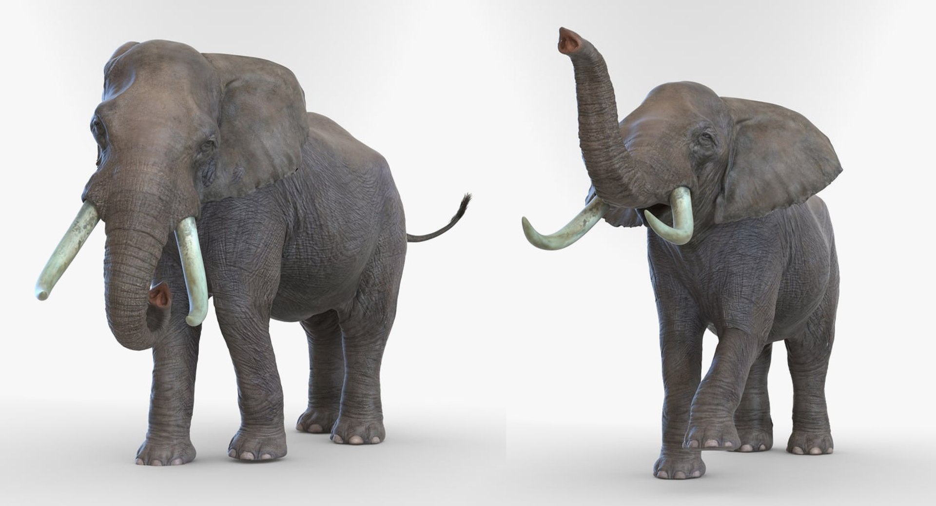 african animals 3 rigged 3D model https://p.turbosquid.com/ts-thumb/kU/XZXzds/lPxGuq7F/riggedafricananimalscollection3mb3dmodel052/jpg/1561109728/1920x1080/fit_q87/87819215160716aa81cff751c9bbe91d2c684904/riggedafricananimalscollection3mb3dmodel052.jpg