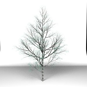 3d tree