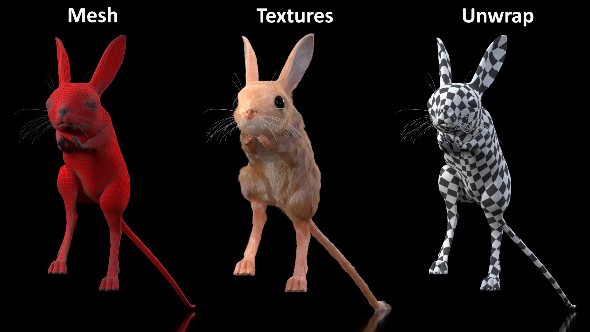 Jumping Jerboa Fur 3D https://p.turbosquid.com/ts-thumb/kU/pCeLvH/2l/jumpingjerboafurmb3dmodel018/jpg/1709279145/1920x1080/fit_q87/9c49f85399e4aaf45a927002e540eb2f3fd4f530/jumpingjerboafurmb3dmodel018.jpg