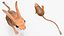 Jumping Jerboa Fur