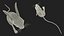 Jumping Jerboa Fur