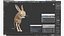 Jumping Jerboa Fur