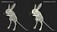 Jumping Jerboa Fur