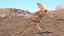 Jumping Jerboa Fur