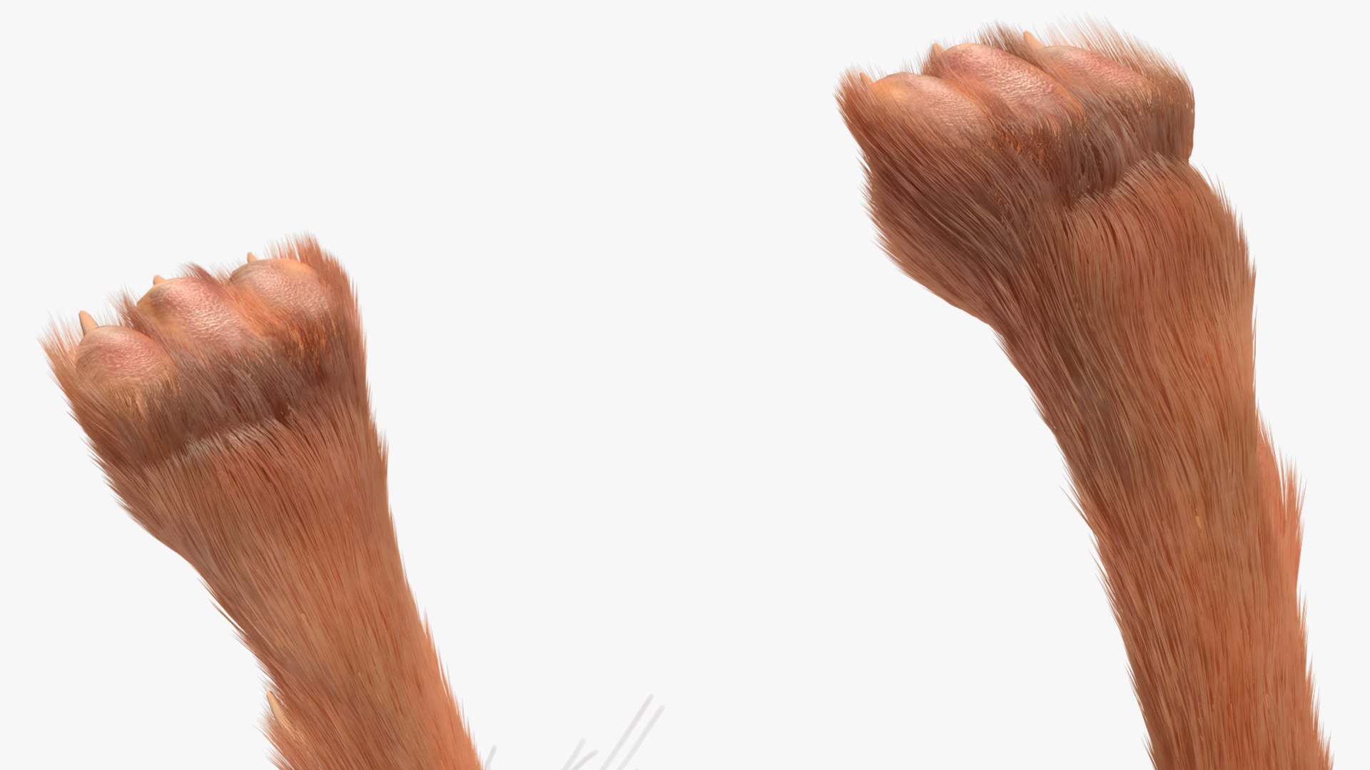 Jumping Jerboa Fur 3D https://p.turbosquid.com/ts-thumb/kU/pCeLvH/cR/jumpingjerboafurmb3dmodel012/jpg/1709279126/1920x1080/fit_q87/6bcaf94f6a67840fa6adfbe72430749969339843/jumpingjerboafurmb3dmodel012.jpg