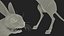 Jumping Jerboa Fur