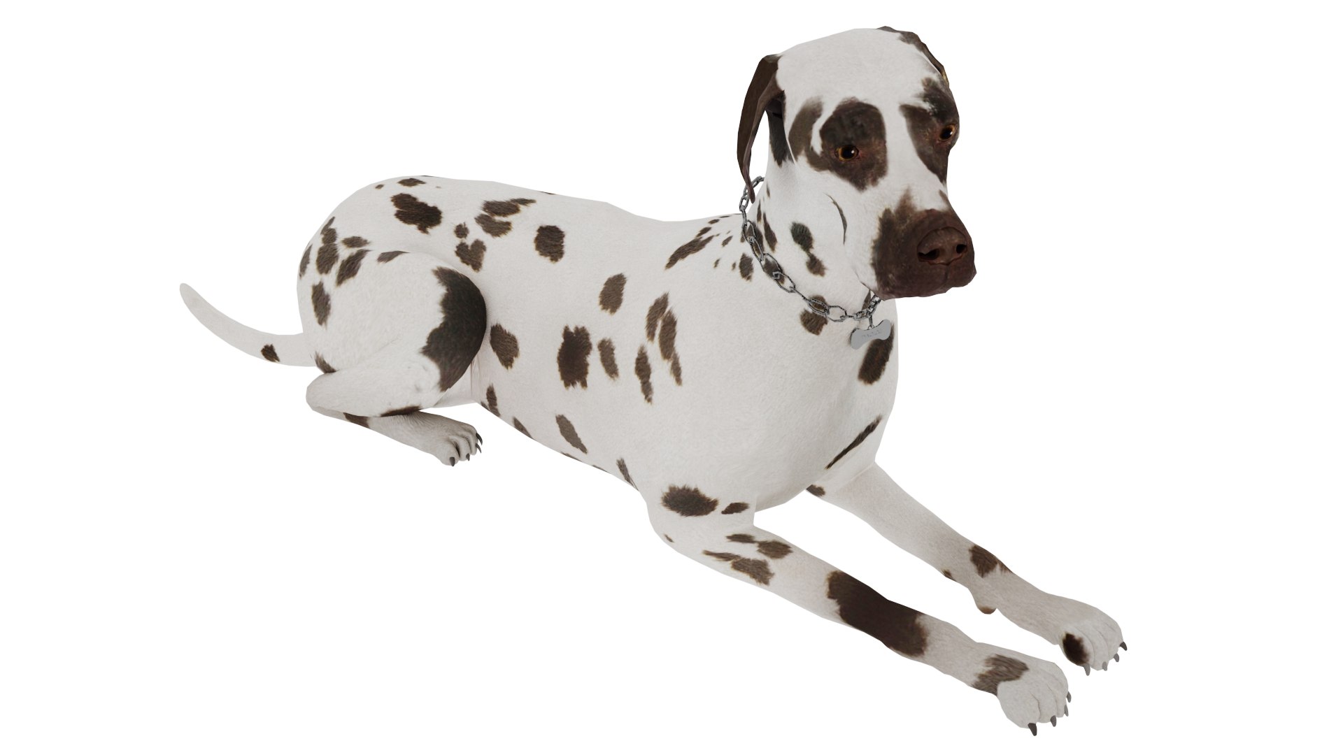 Great Dane - Dog 3D Model - TurboSquid 2079608