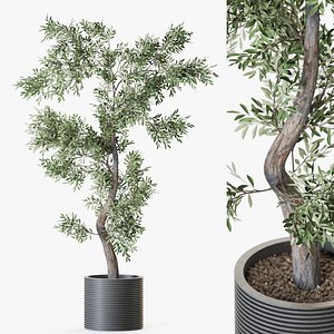 Plant 1219 3D model