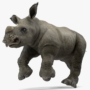rhino baby running pose model