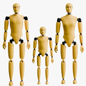 Crash Test Male Female and Child Mannequin