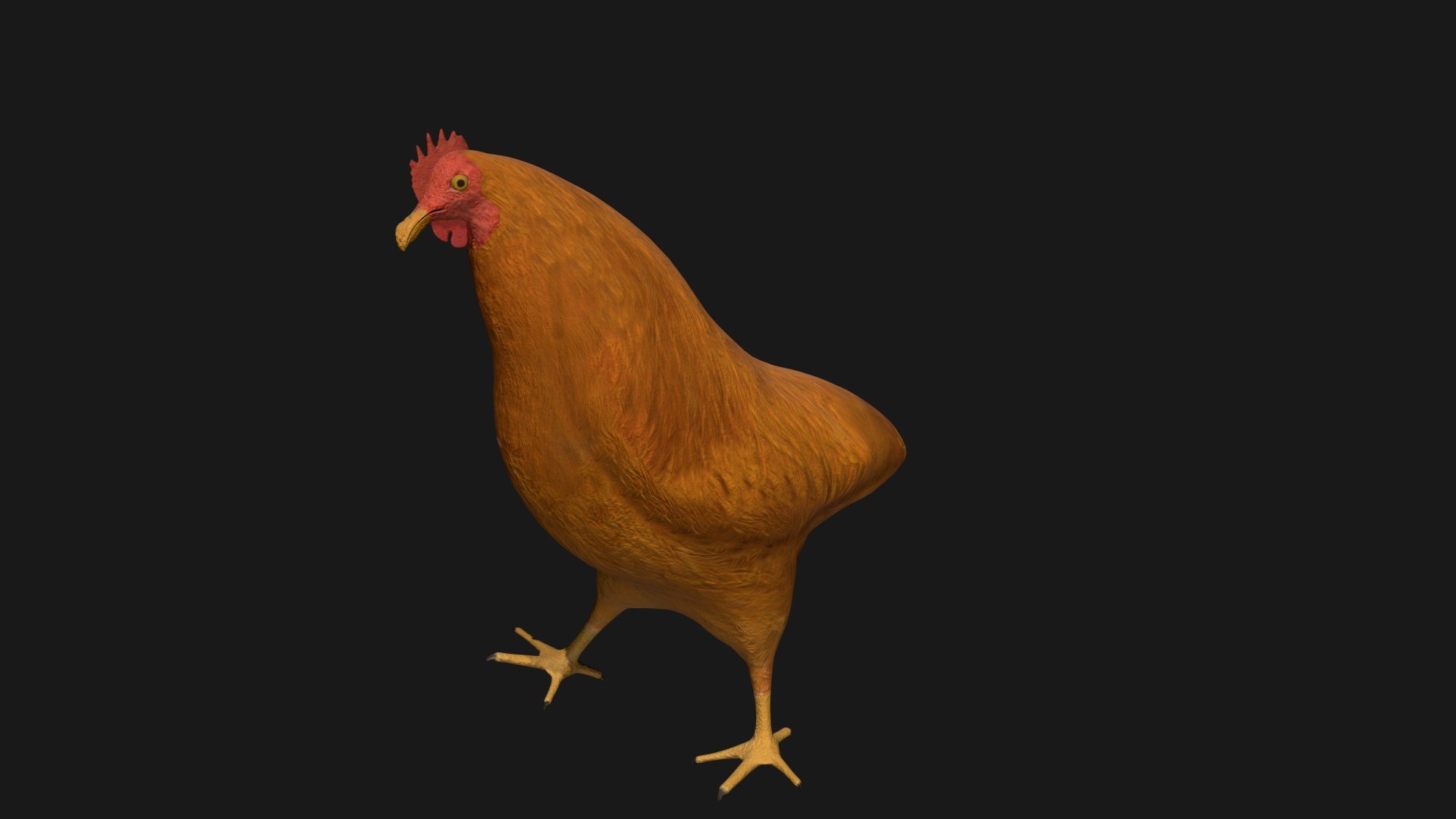 Chicken Rigged 3D Model - TurboSquid 1664738