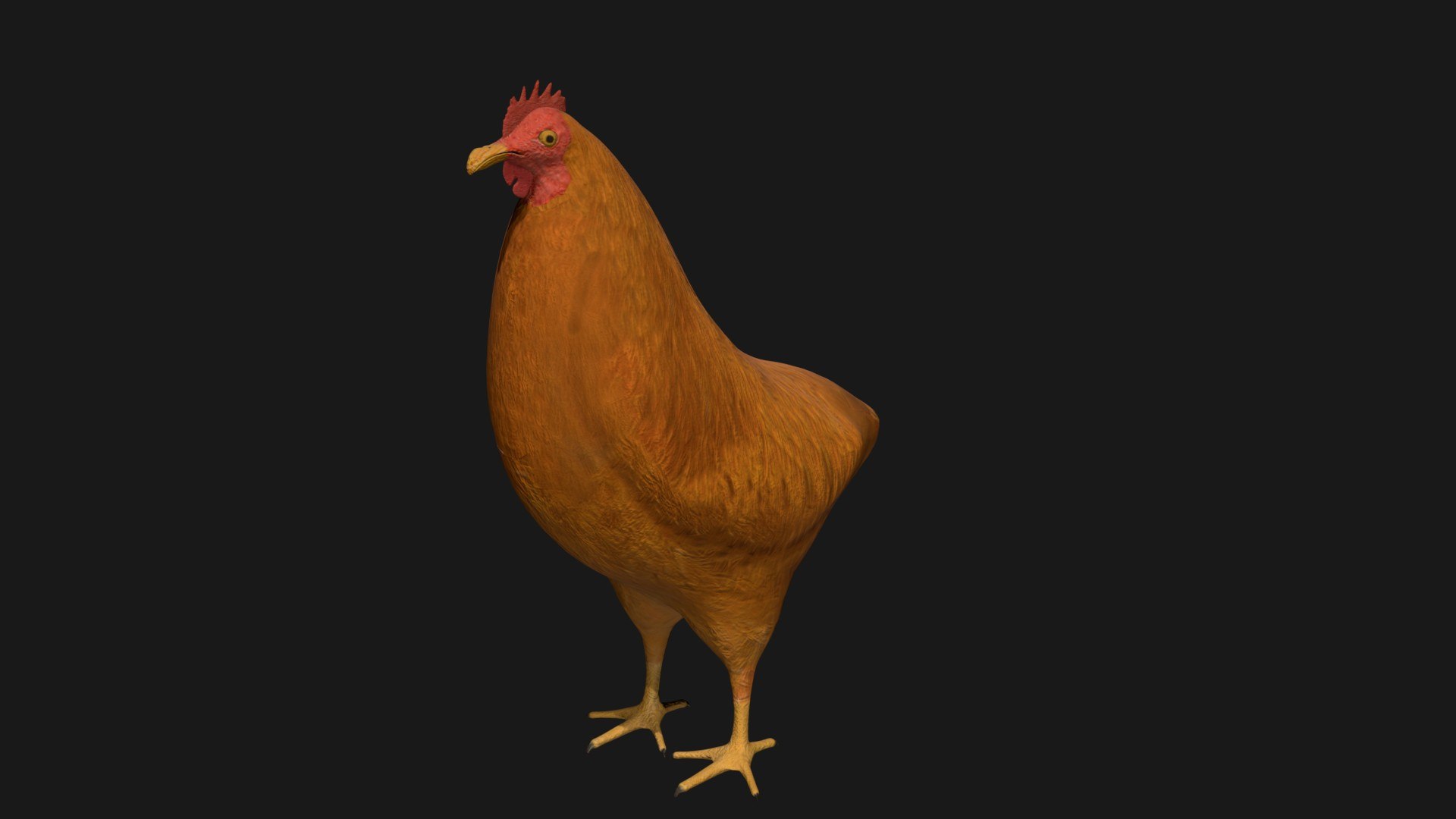 Chicken Rigged 3D Model - TurboSquid 1664738