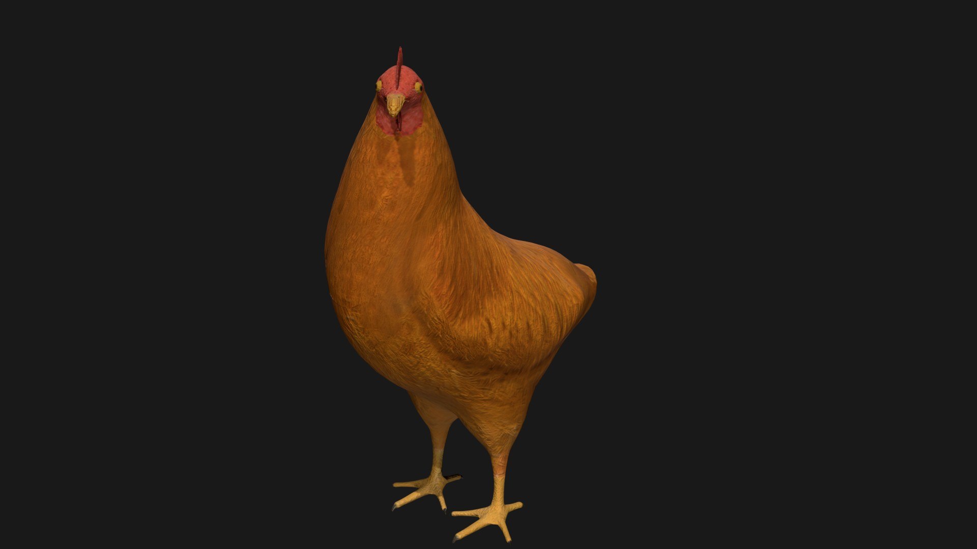 Chicken Rigged 3D Model - TurboSquid 1664738