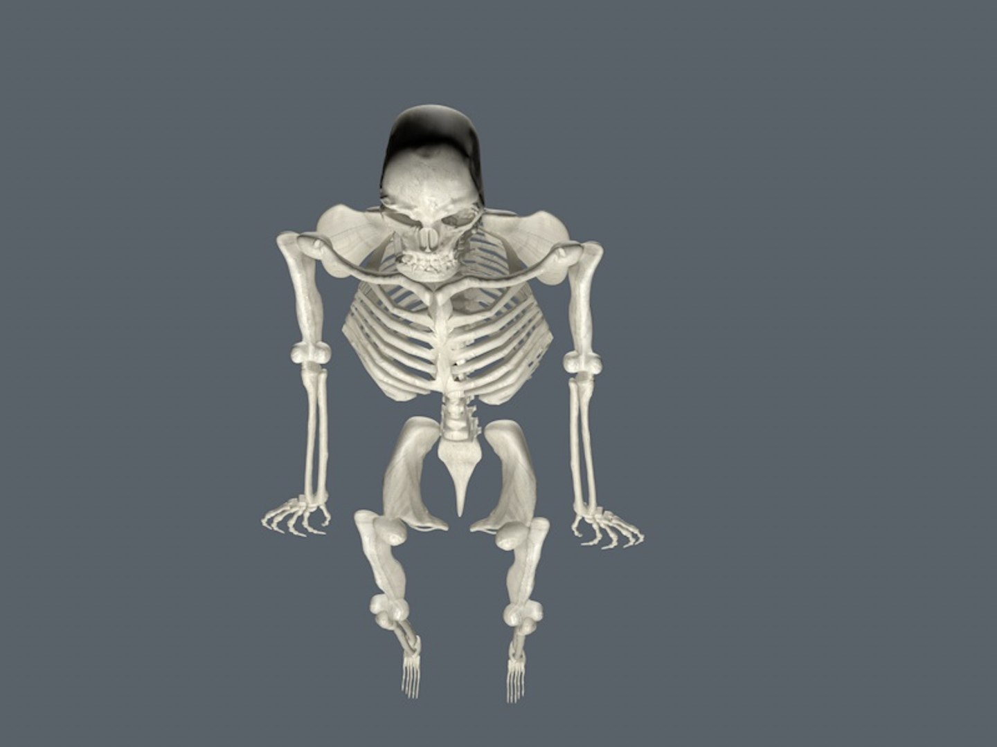 skeletal 3D model https://p.turbosquid.com/ts-thumb/kV/Ncq1dS/NER30fe6/skeleton5/jpg/1508251056/1920x1080/fit_q87/7a3e60bc003ac355dfee5878c6525e500302f55f/skeleton5.jpg